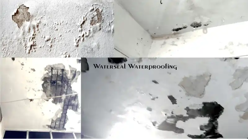 Wall Dampness Treatment Ahmedabad Solutions