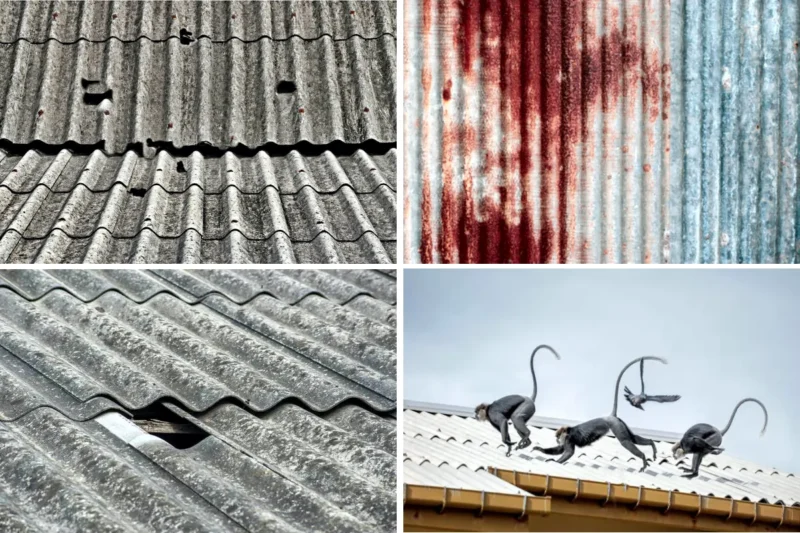 Industrial Shed Waterproofing 2 our major reasons for industrial shed leakage: Thermal expansion, rainwater pressure, monkey damage, and corrosion holes