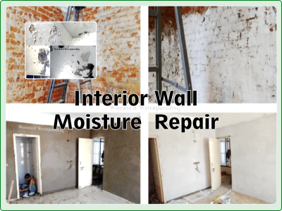 wall dampness black patches